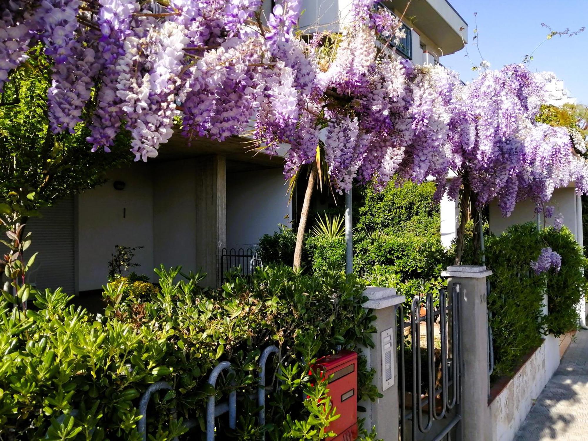 Casa Di Checco San Benedetto del Tronto
