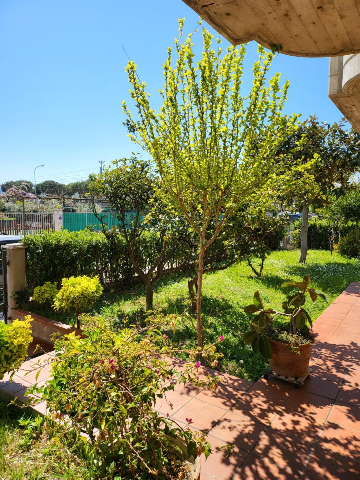 Casa Di Checco San Benedetto del Tronto
